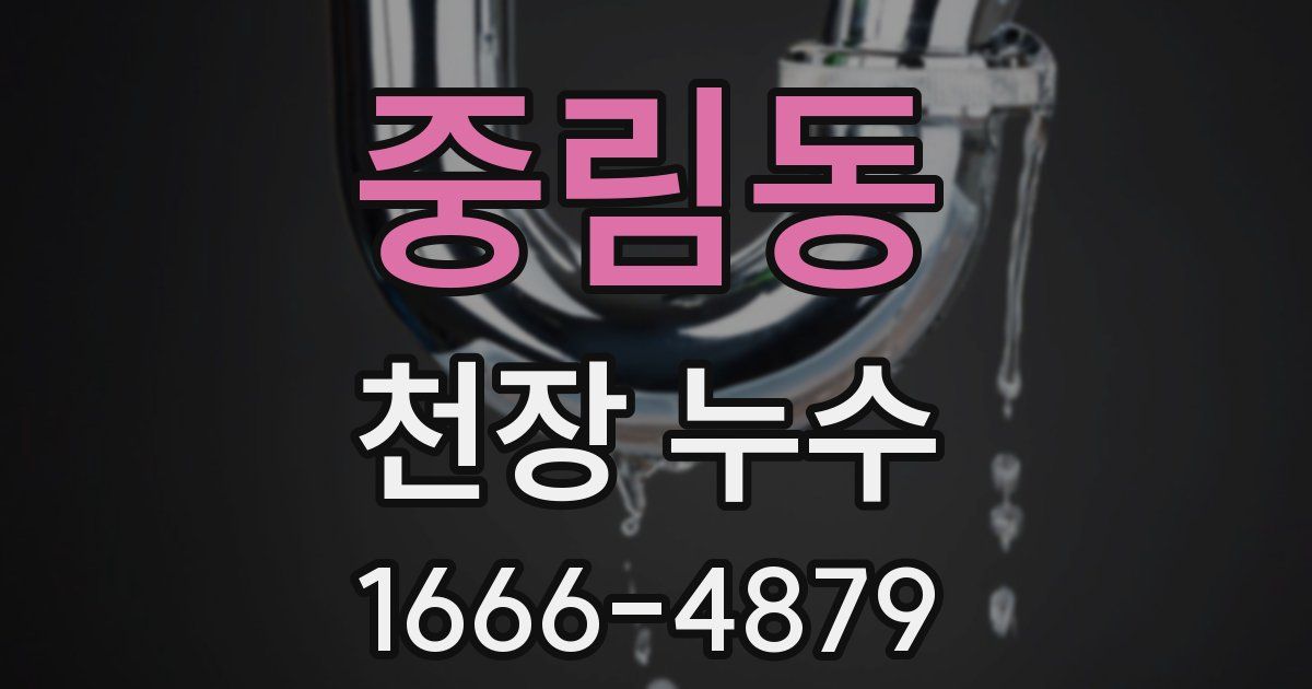 중림동 천장 누수