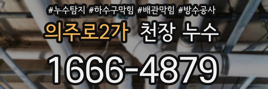 의주로2가 천장 누수