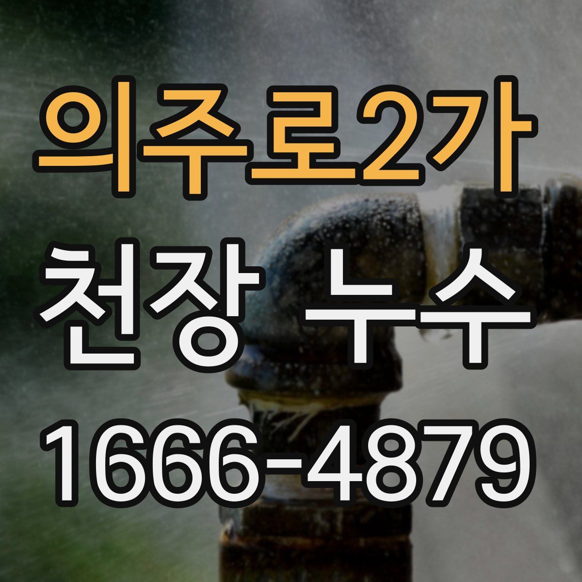 의주로2가 천장 누수