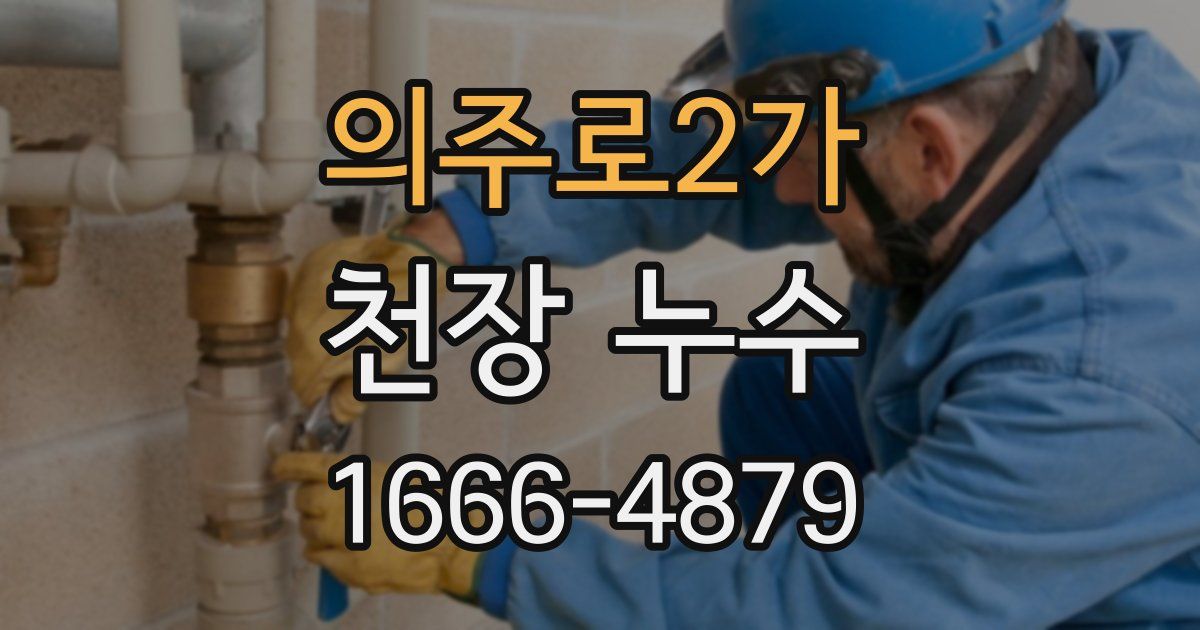 의주로2가 천장 누수