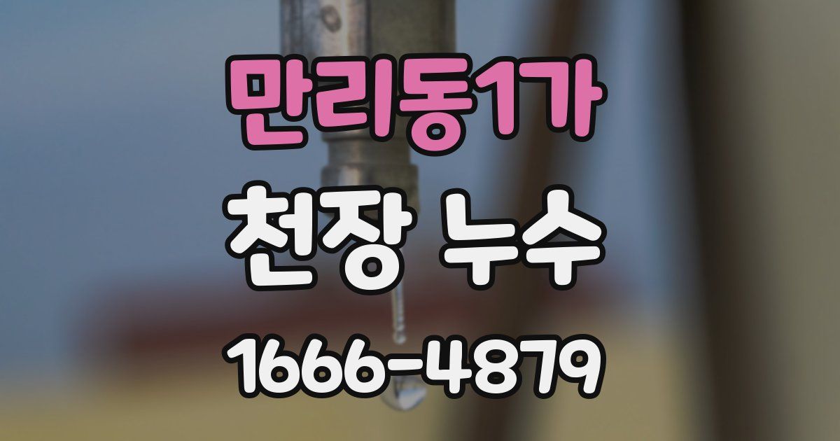 만리동1가 천장 누수