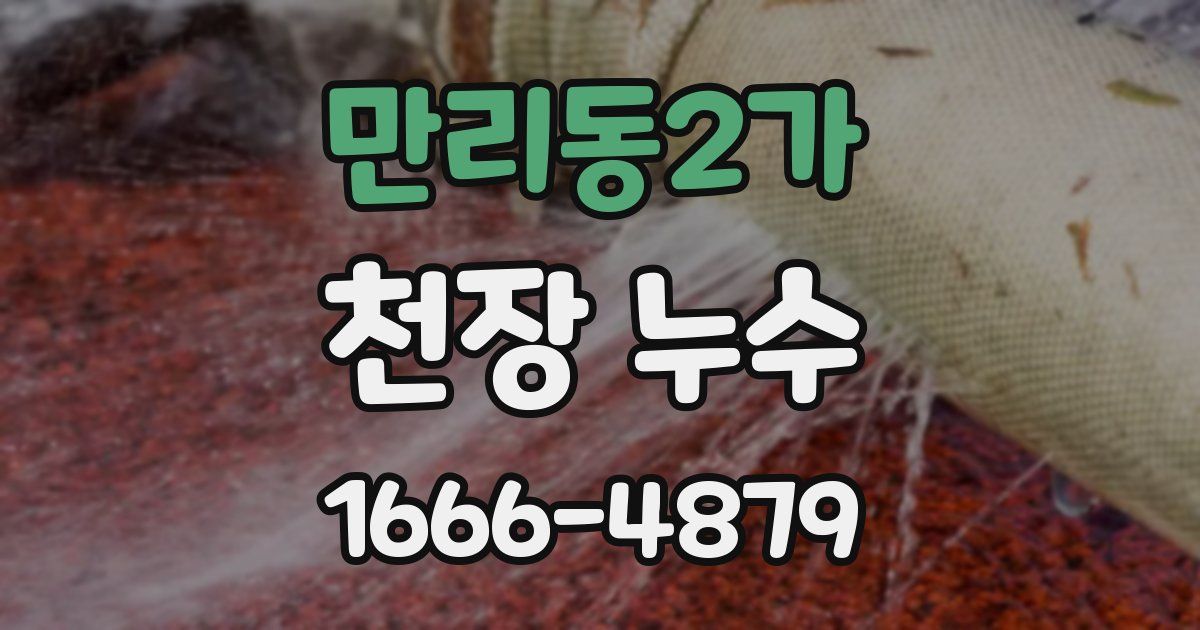 만리동2가 천장 누수