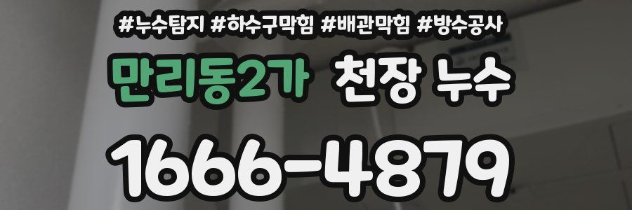 만리동2가 천장 누수