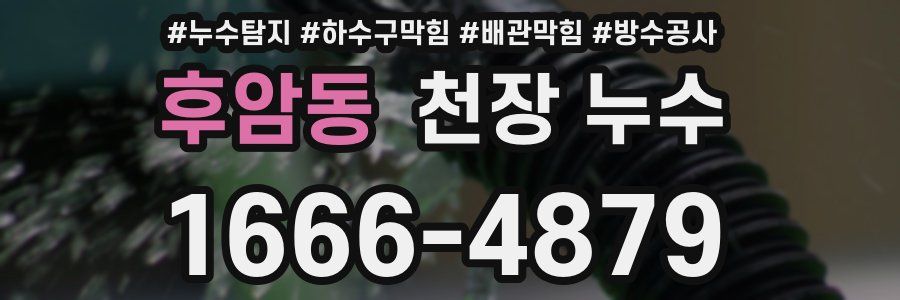 후암동 천장 누수