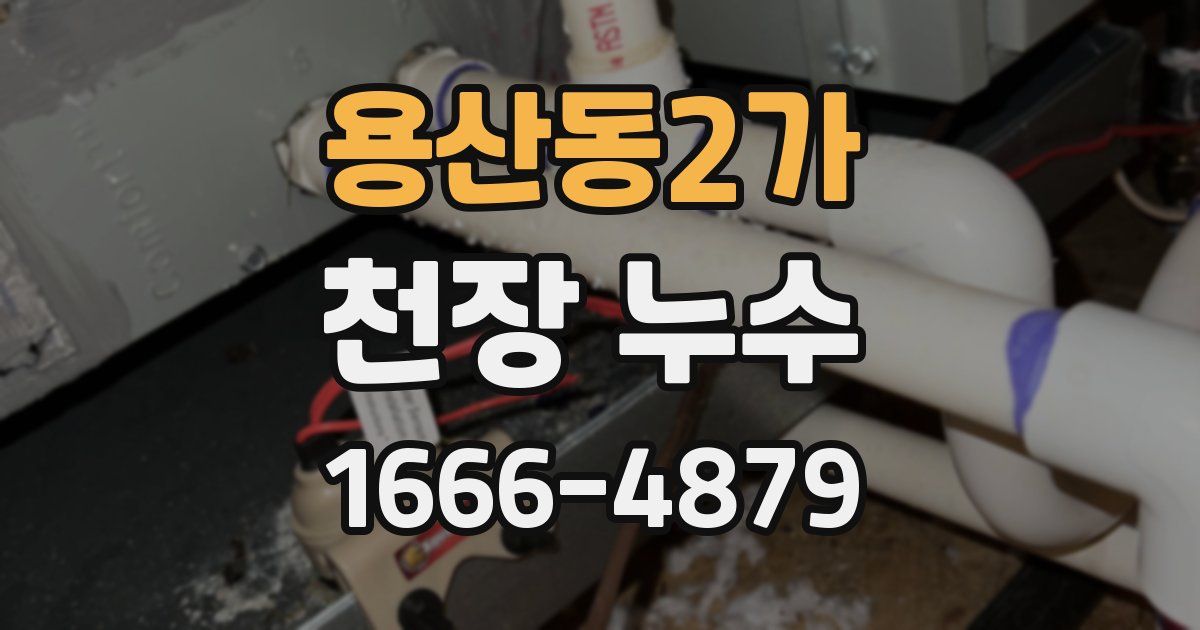 용산동2가 천장 누수