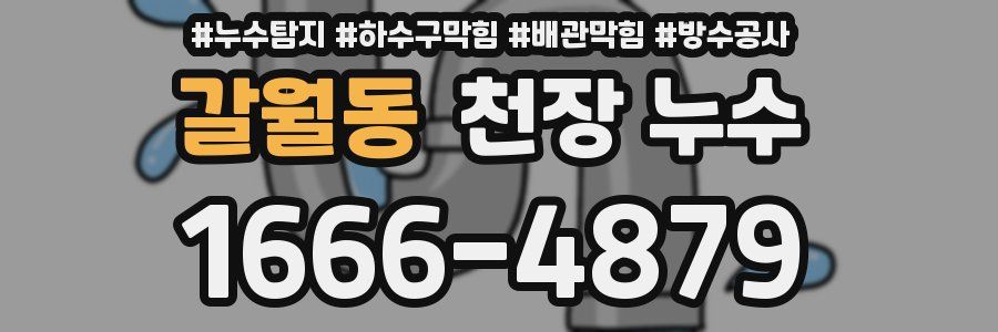 갈월동 천장 누수