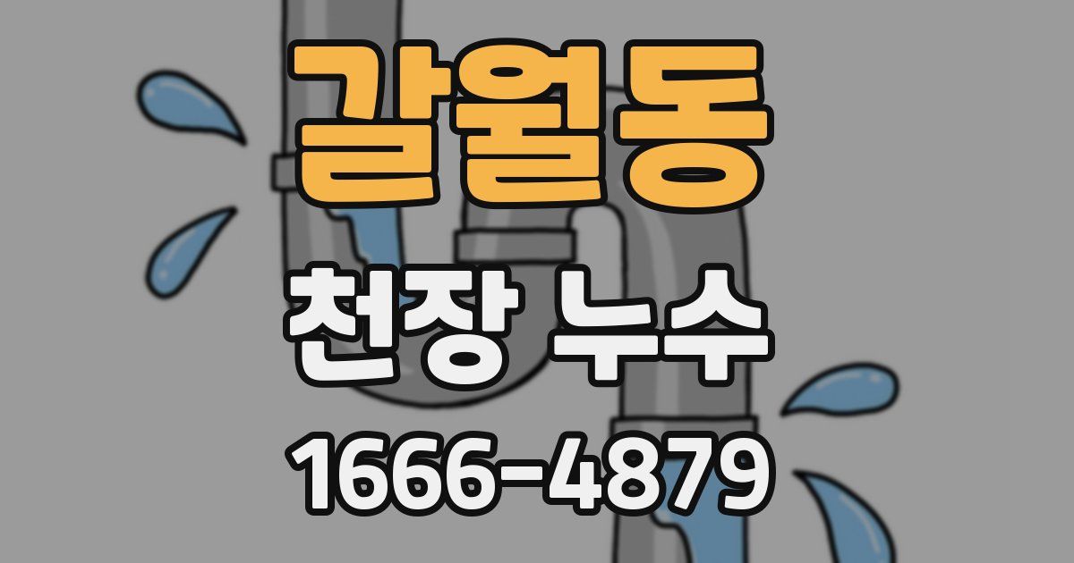 갈월동 천장 누수