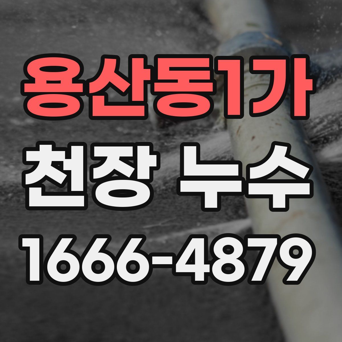 용산동1가 천장 누수