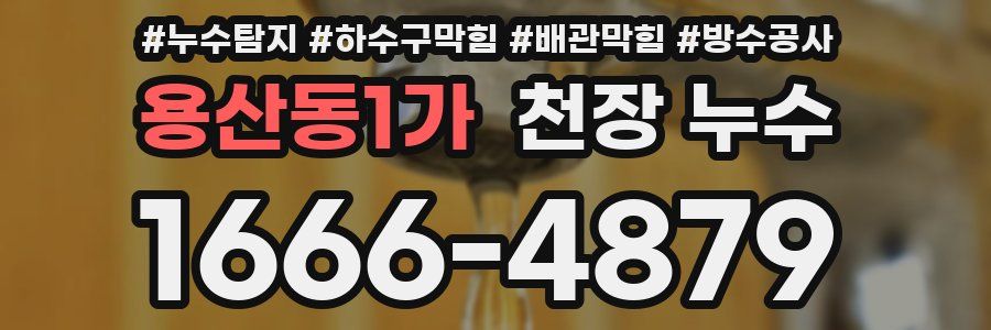 용산동1가 천장 누수