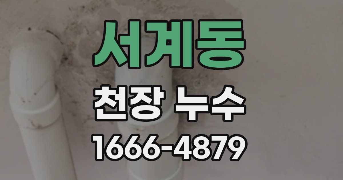 서계동 천장 누수