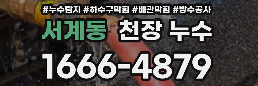 서계동 천장 누수