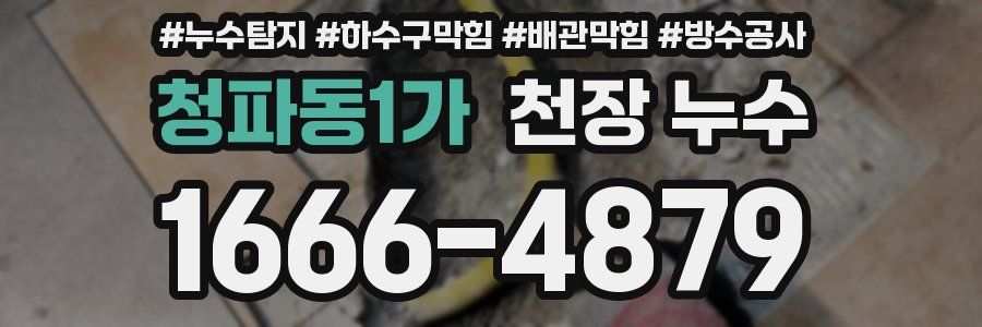 청파동1가 천장 누수