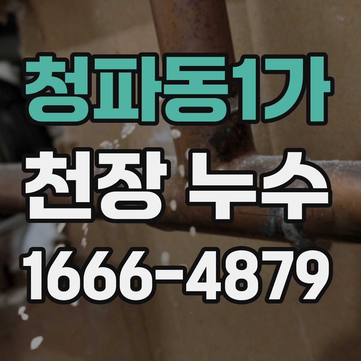 청파동1가 천장 누수