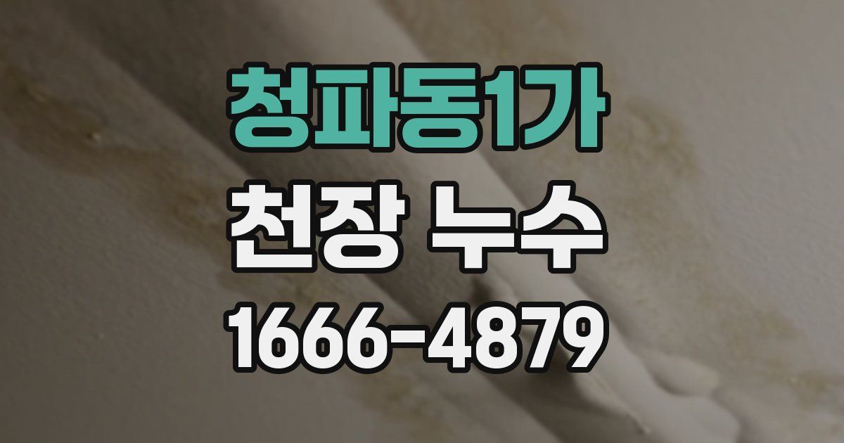 청파동1가 천장 누수