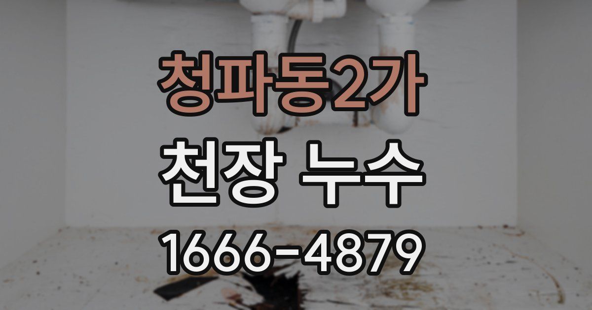 청파동2가 천장 누수