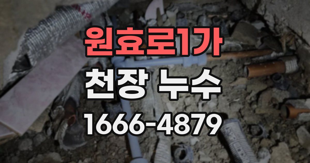 원효로1가 천장 누수