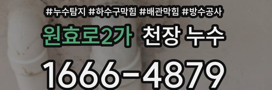원효로2가 천장 누수