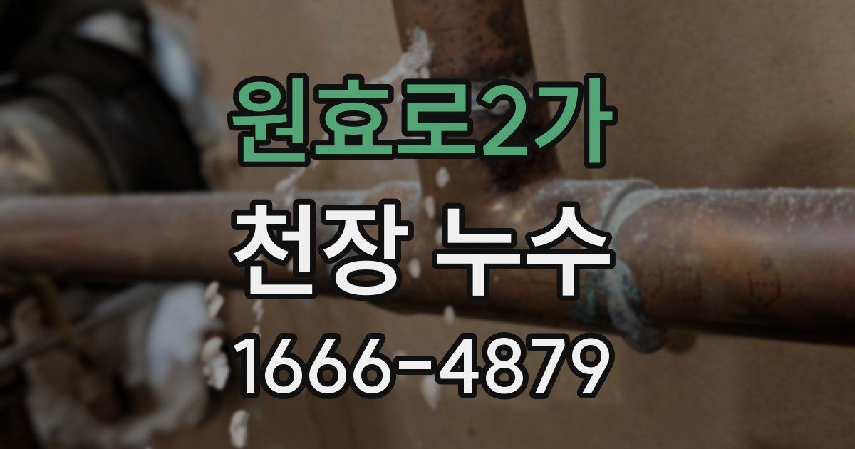 원효로2가 천장 누수