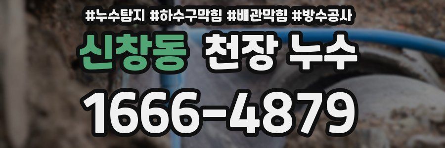 신창동 천장 누수