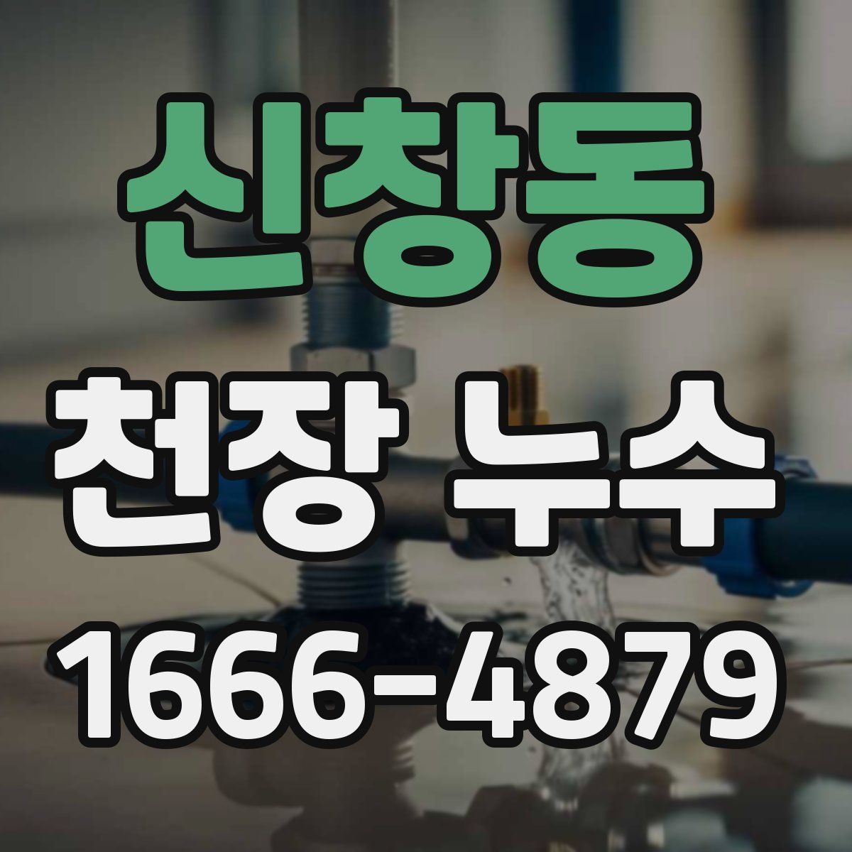 신창동 천장 누수