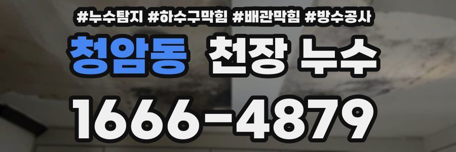 청암동 천장 누수