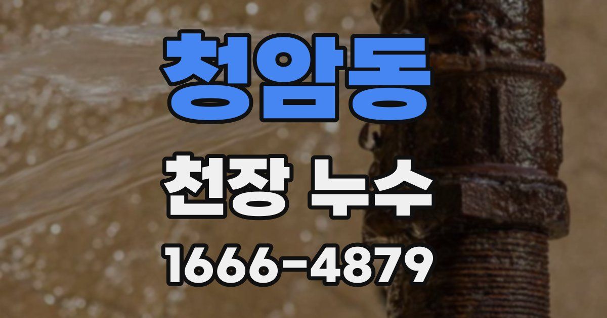 청암동 천장 누수