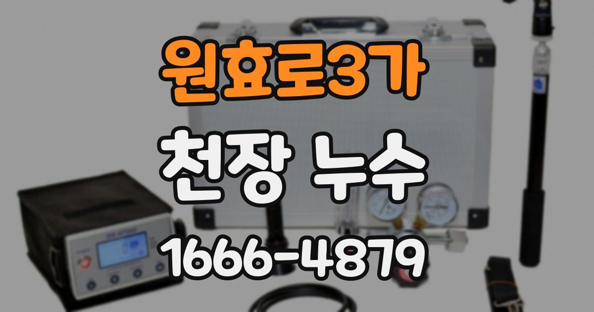 원효로3가 천장 누수