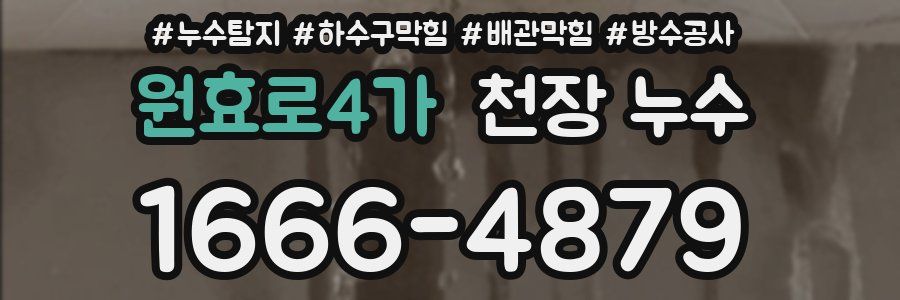 원효로4가 천장 누수