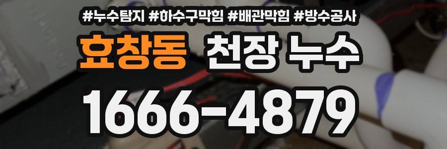 효창동 천장 누수