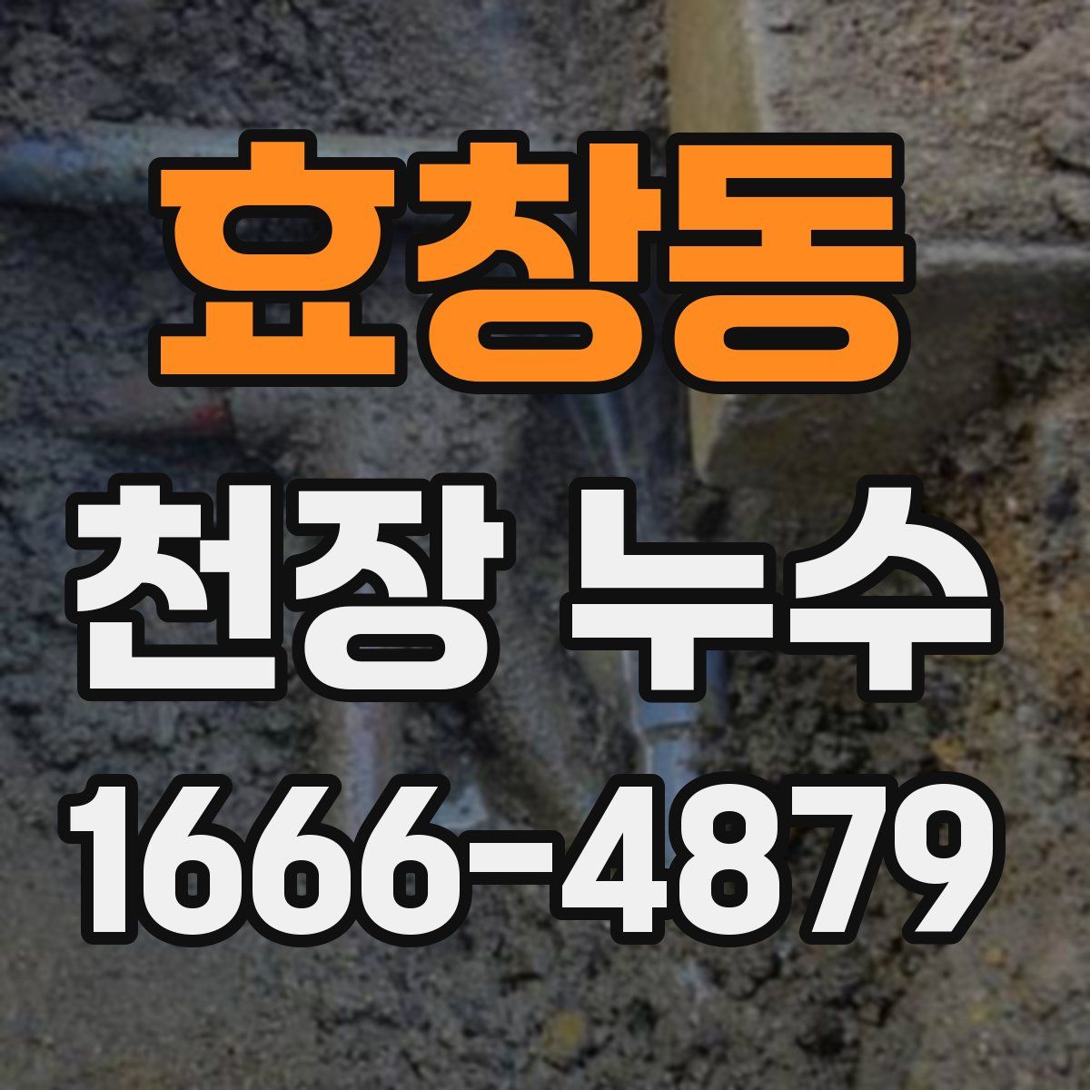 효창동 천장 누수