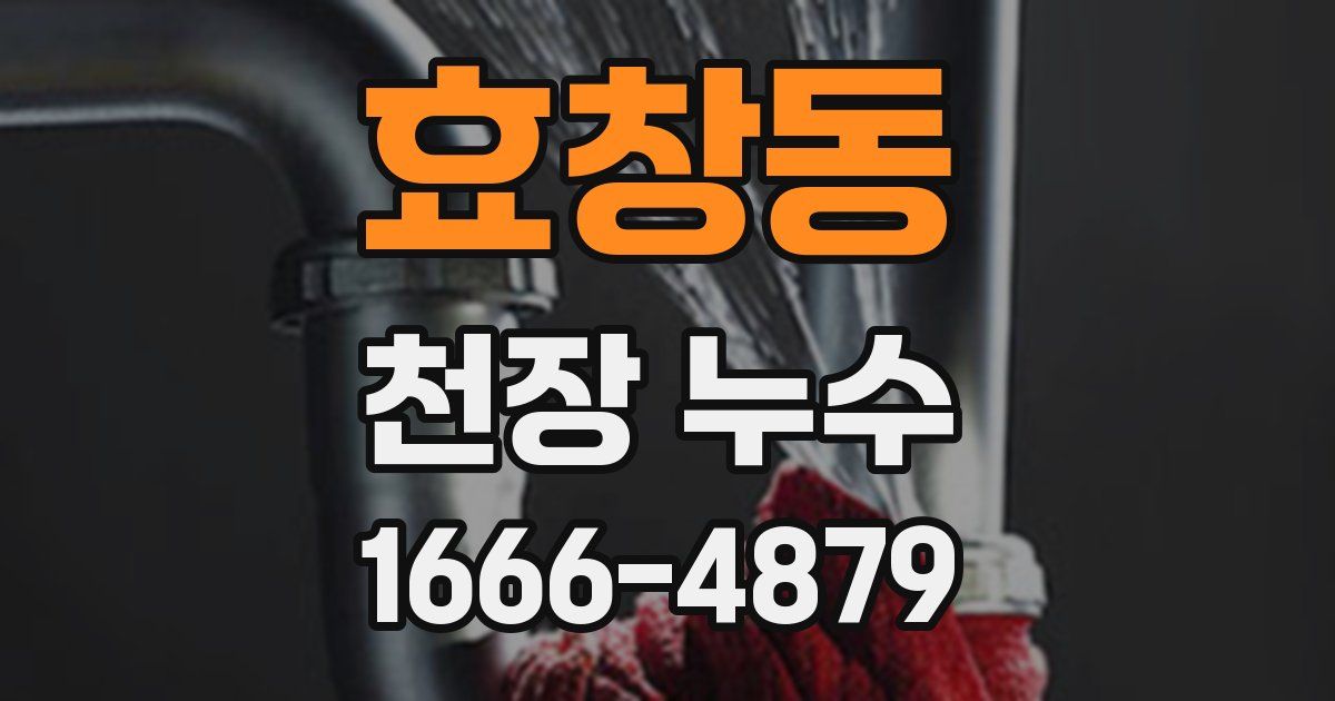 효창동 천장 누수