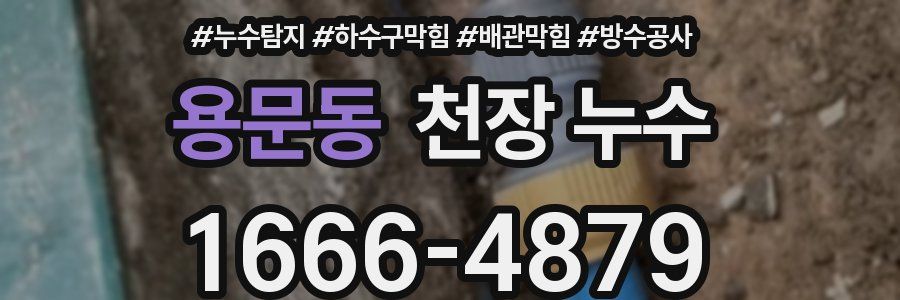 용문동 천장 누수