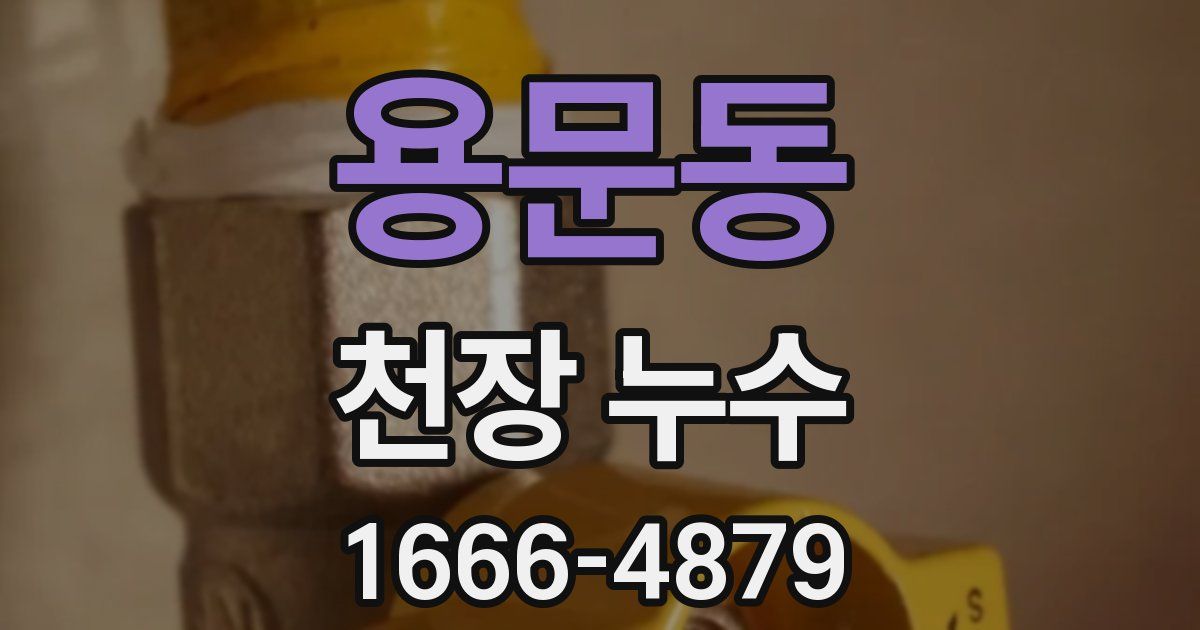 용문동 천장 누수