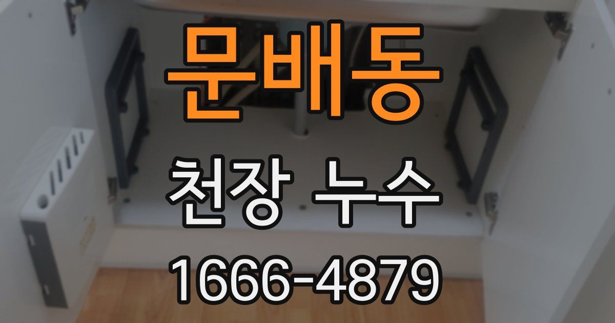 문배동 천장 누수