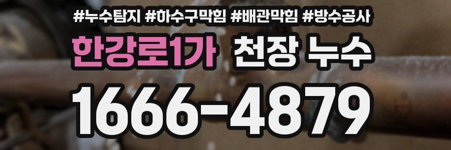 한강로1가 천장 누수