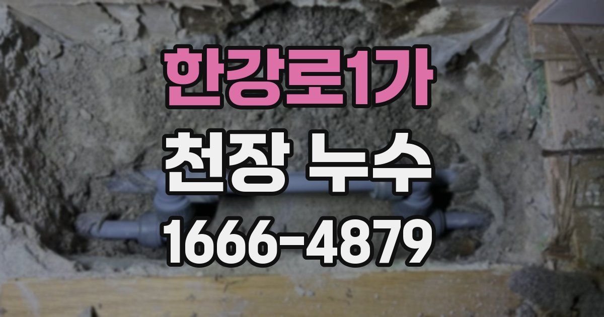 한강로1가 천장 누수