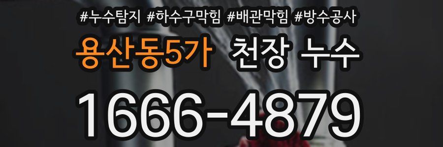 용산동5가 천장 누수