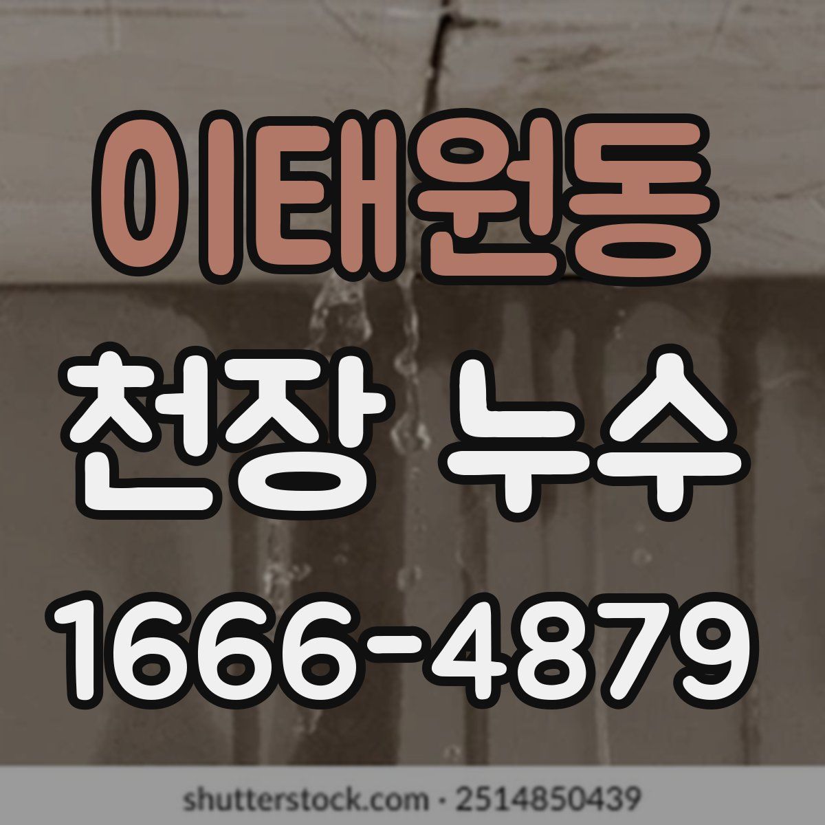이태원동 천장 누수