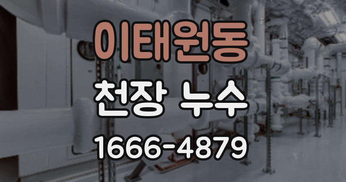 이태원동 천장 누수