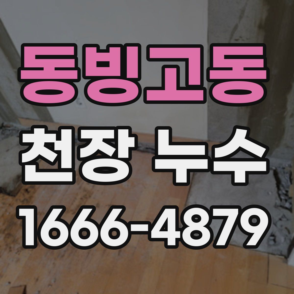 동빙고동 천장 누수