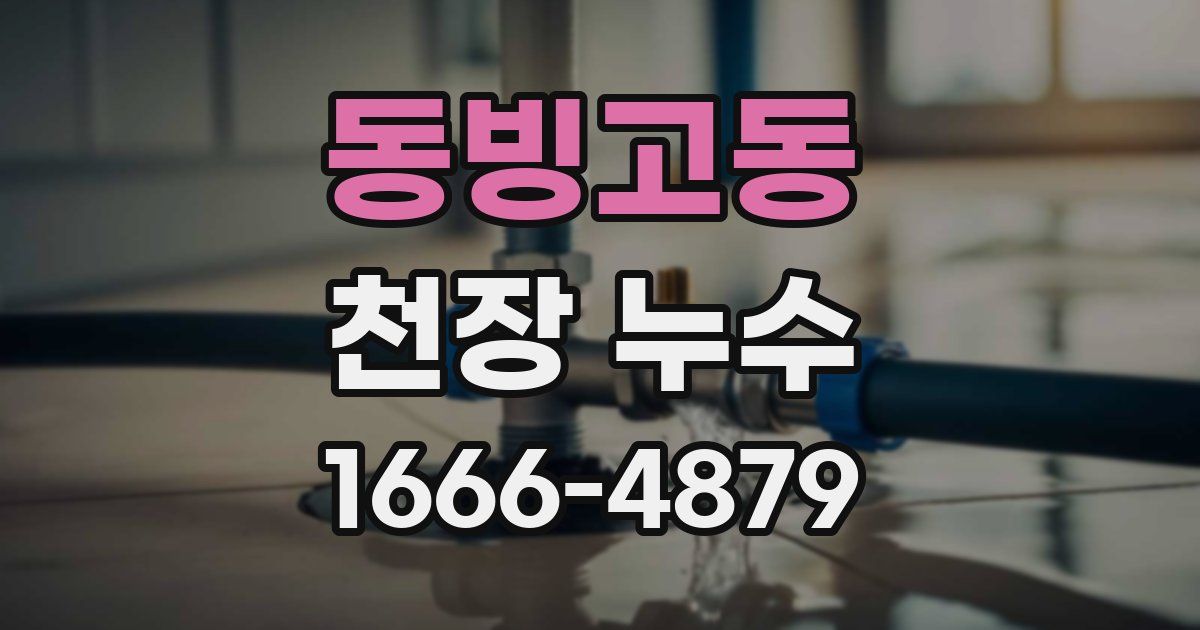 동빙고동 천장 누수