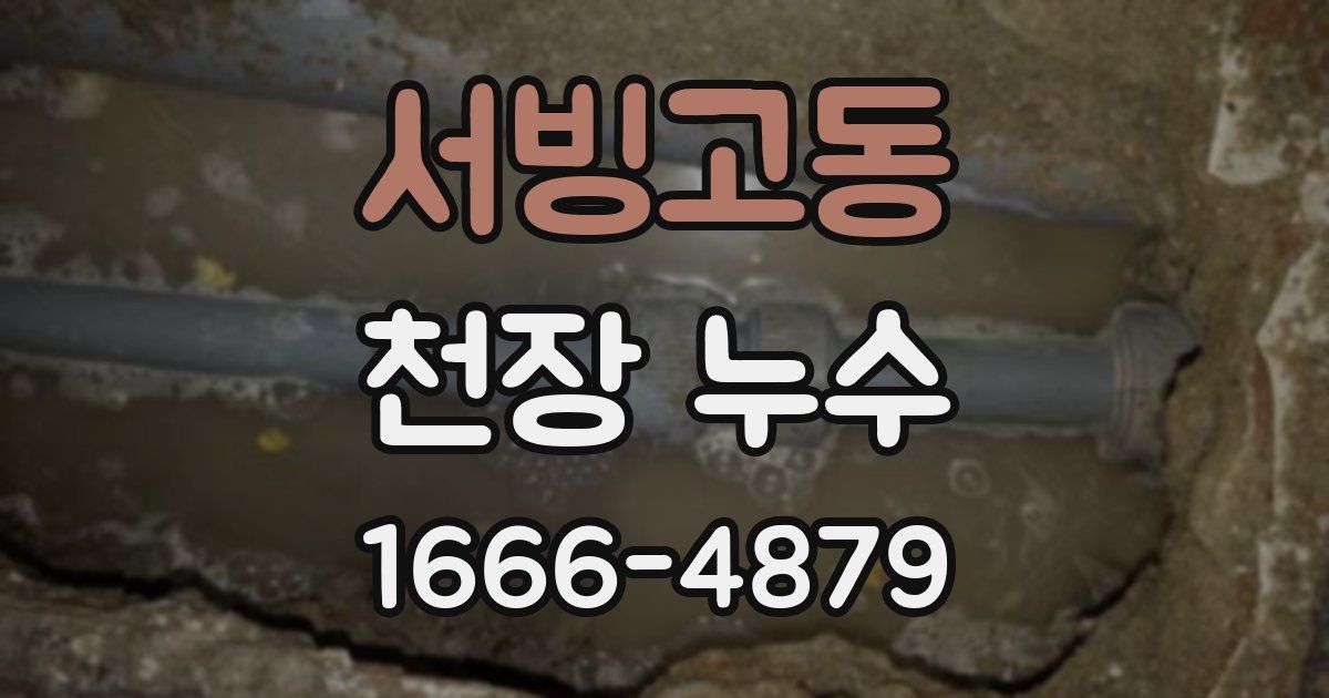 서빙고동 천장 누수