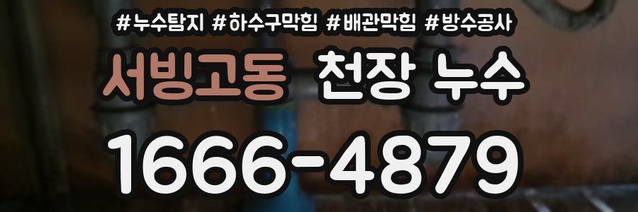 서빙고동 천장 누수