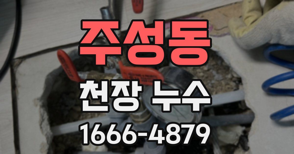 주성동 천장 누수