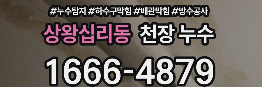 상왕십리동 천장 누수