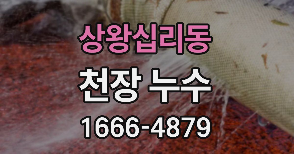 상왕십리동 천장 누수