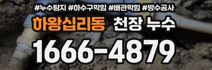 하왕십리동 천장 누수