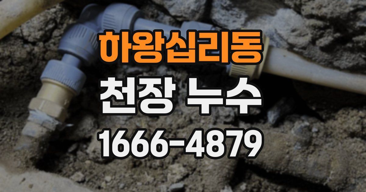 하왕십리동 천장 누수