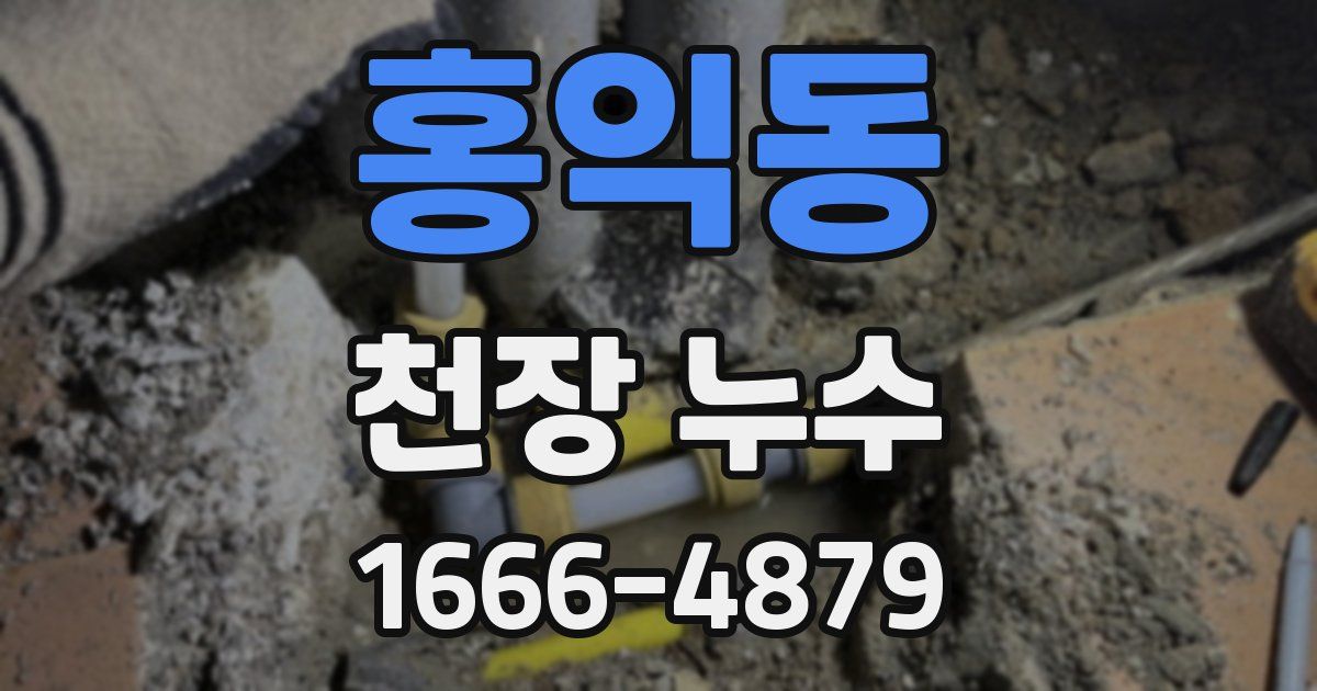 홍익동 천장 누수