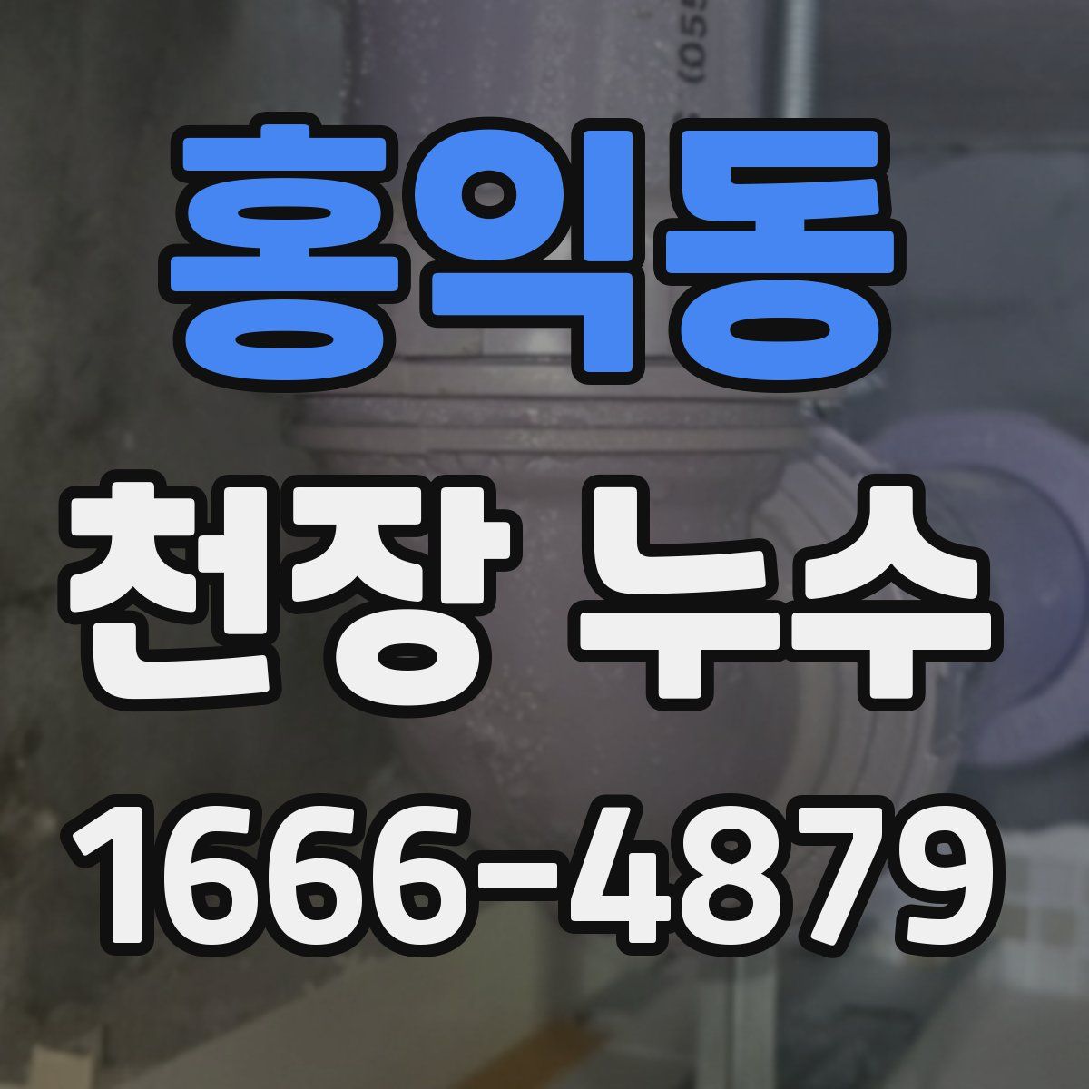 홍익동 천장 누수